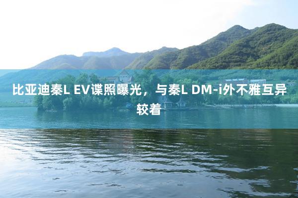 比亚迪秦L EV谍照曝光，与秦L DM-i外不雅互异较着