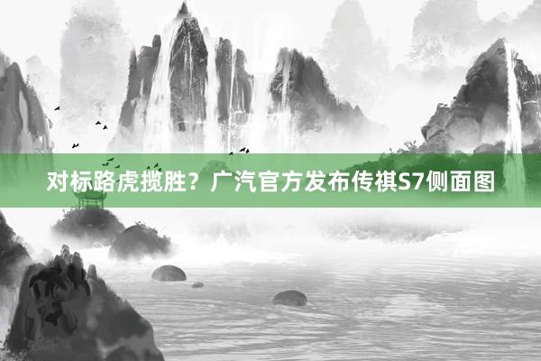 对标路虎揽胜？广汽官方发布传祺S7侧面图