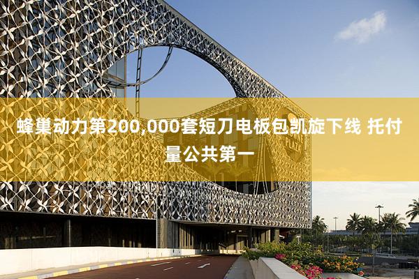 蜂巢动力第200,000套短刀电板包凯旋下线 托付量公共第一